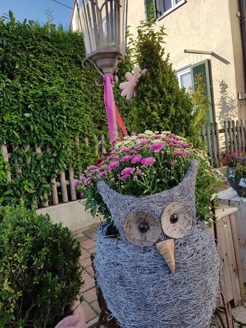 20180918_091318.jpg